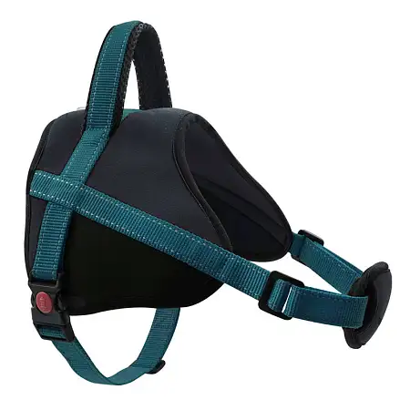 Купить zooexpress fresh line шлейка с ручкой для собак, черная с морской волной